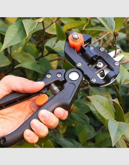 Grafting Tools