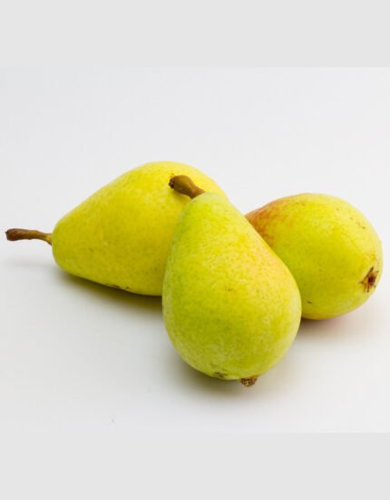 nashpati plant, pear plant
